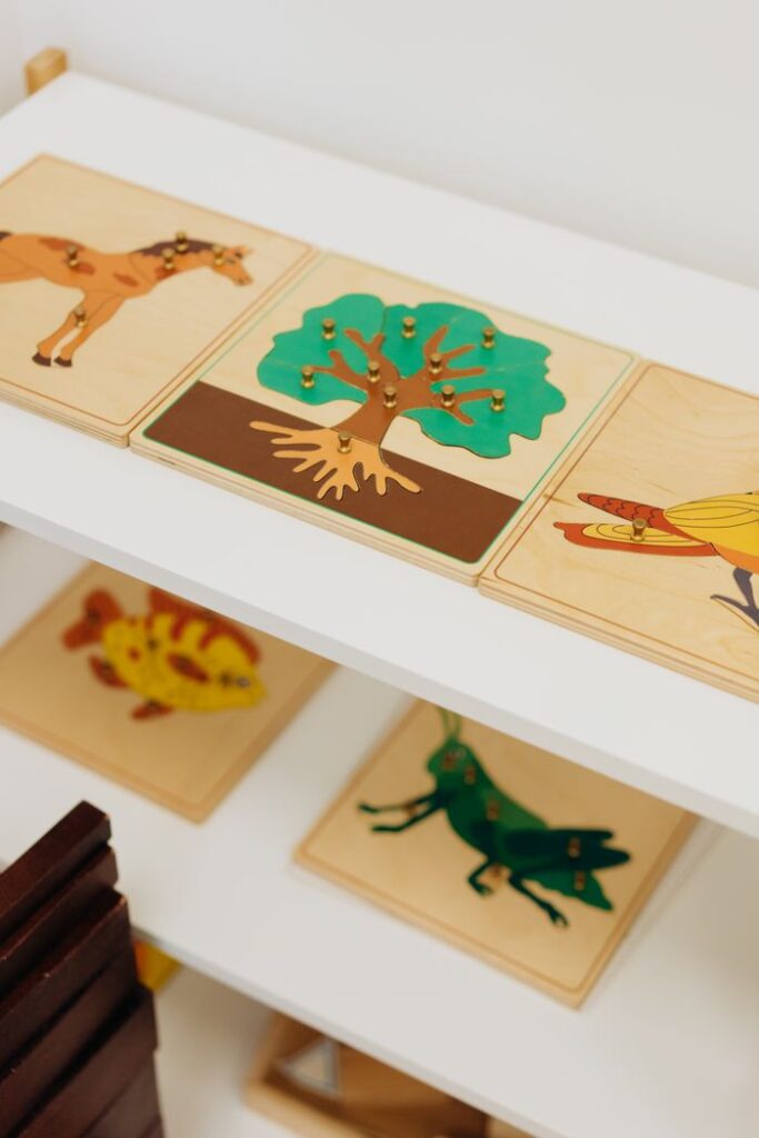 pexels photo 8923969 Educational wooden puzzles on a shelf in a classroom setting, promoting fun learning for children.